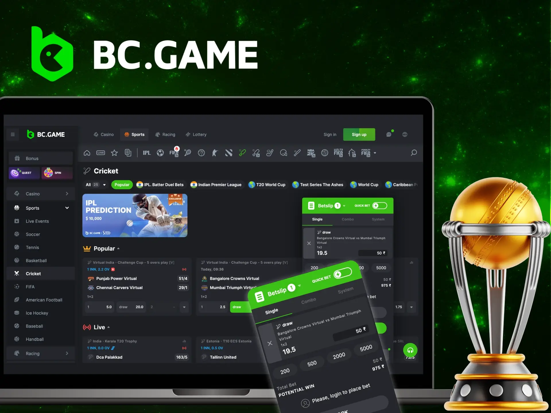 Instructions for users on how to bet on cricket at the BC Game online.